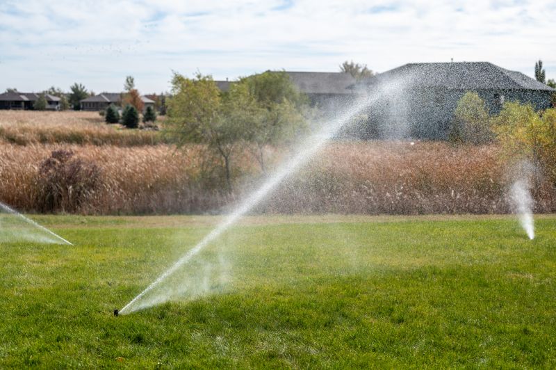 Sprinkler System Cleaning