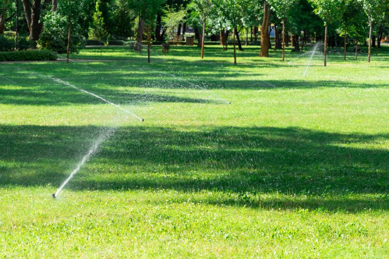 Sprinkler System Cleaning detail