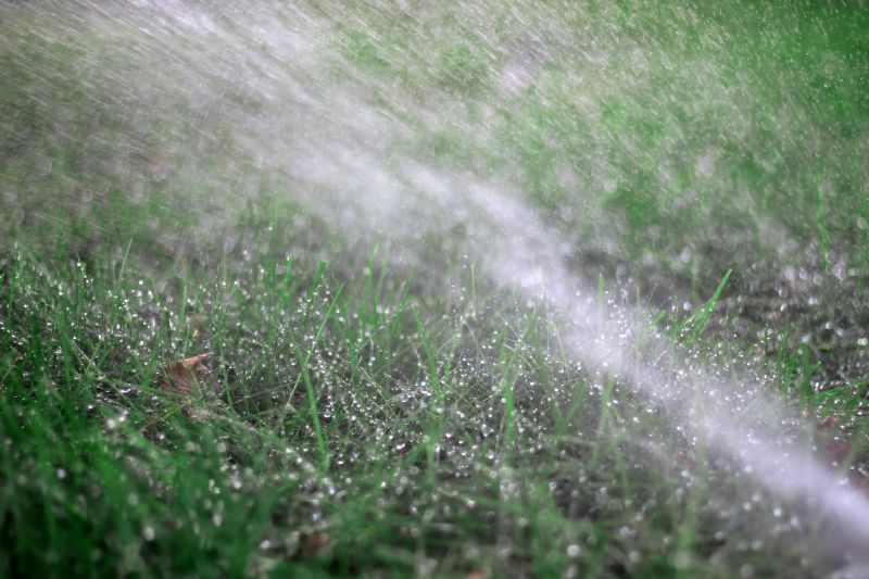 Sprinkler System Cleaning detail