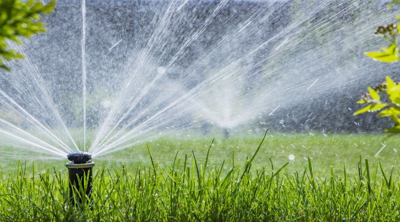 Lawn Sprinkler Installation