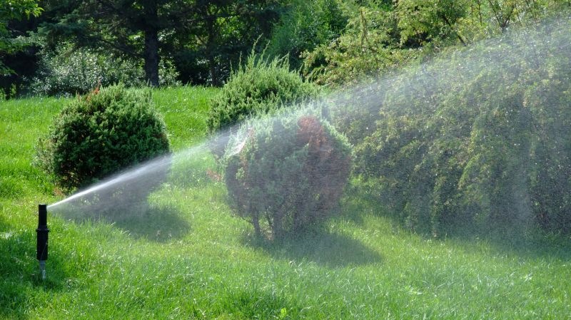 Sprinkler System Cleaning
